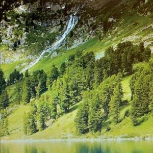 Meet your Posher, Jackson